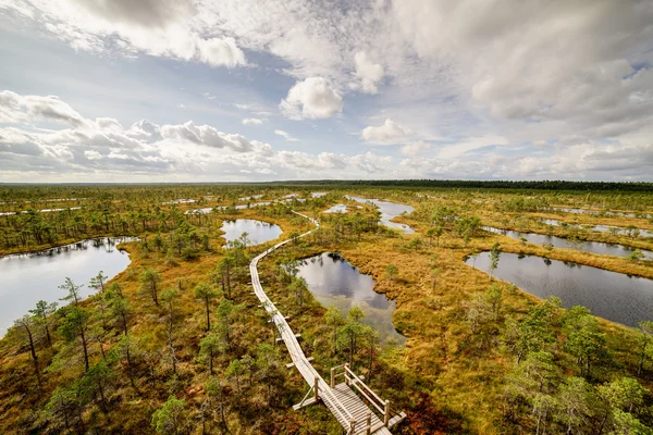 Moeras weergave met meren en voetpad — Stockfoto