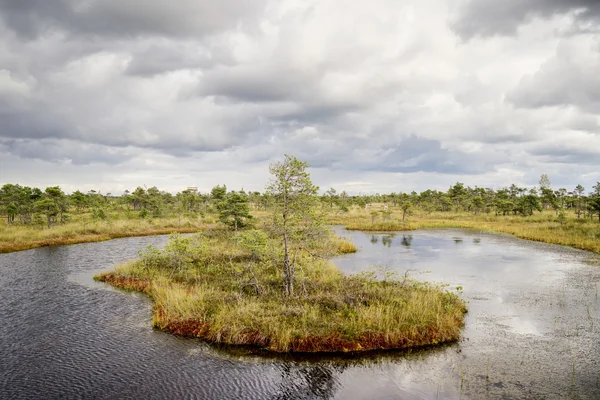 Moeras weergave met meren en voetpad — Stockfoto