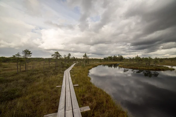 Vue sur les marais wtih lacs et sentier pédestre — Photo