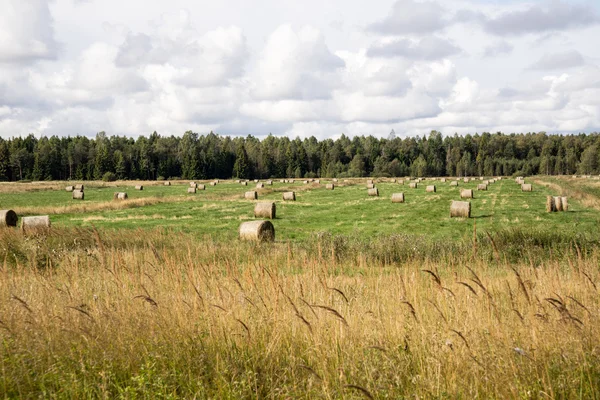 Rolki siana w zielone pole — Zdjęcie stockowe