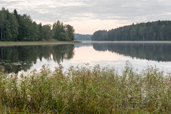 Odraz mraků v jezeře s dřevěný — Stock fotografie