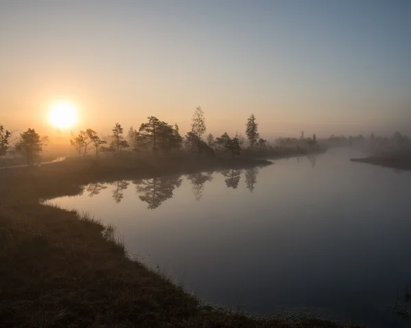 Schöne ruhige Landschaft des nebligen Sumpfsees — Stockfoto