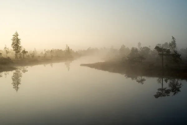Beautiful tranquil landscape of misty swamp lake — Stock Photo, Image