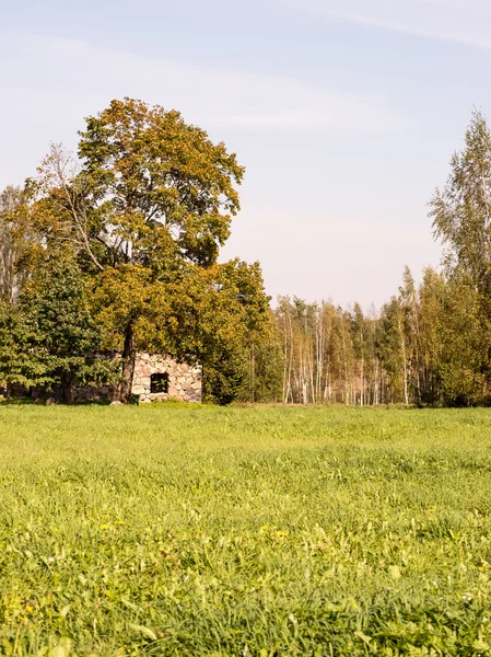 Krajobraz kraju z pola i błękitne niebo — Zdjęcie stockowe