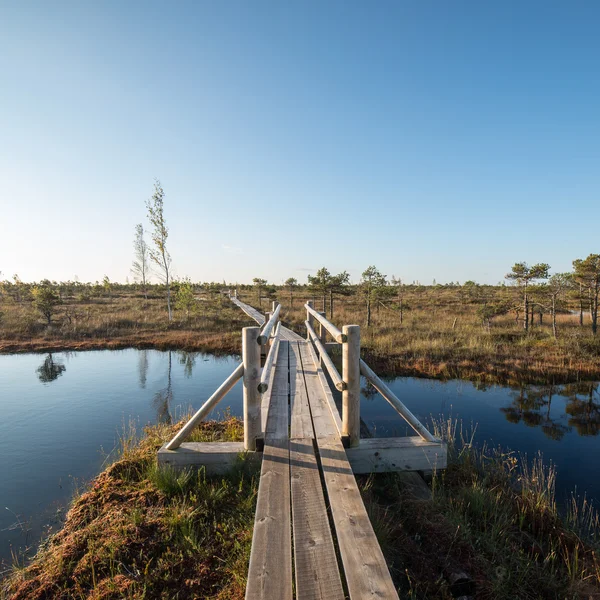 Sentiero in legno sulla palude — Foto Stock