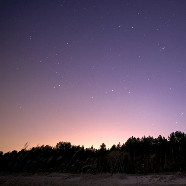 Cielo nocturno con estrellas —  Fotos de Stock