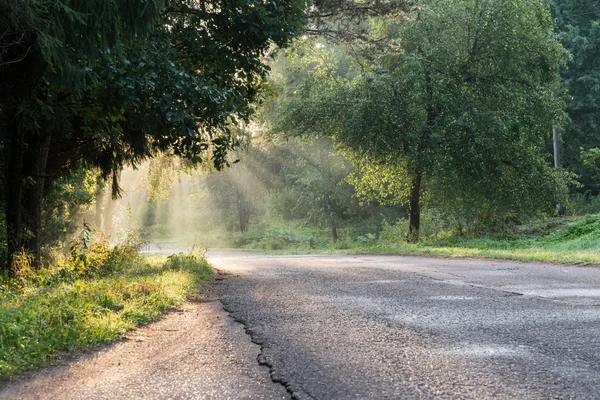 Misty fields and meadows after the rain in summer — Stock Photo, Image