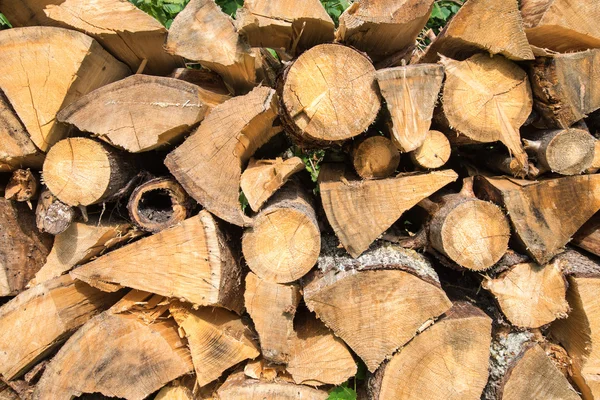 Leña apilada de abeto en el bosque — Foto de Stock