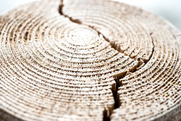 Tablón de madera con astillas y grietas — Foto de Stock