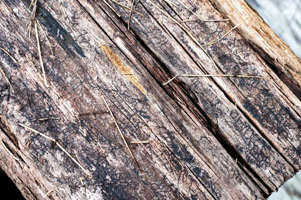Дерев'яна дошка з осколками і тріщинами — стокове фото