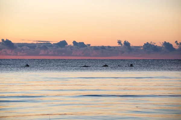 Belo nascer do sol no mar na praia selvagem — Fotografia de Stock