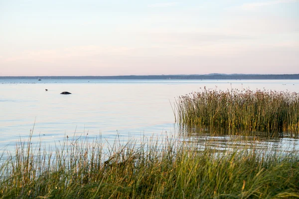 Красивий схід сонця в морі на дикому пляжі — стокове фото