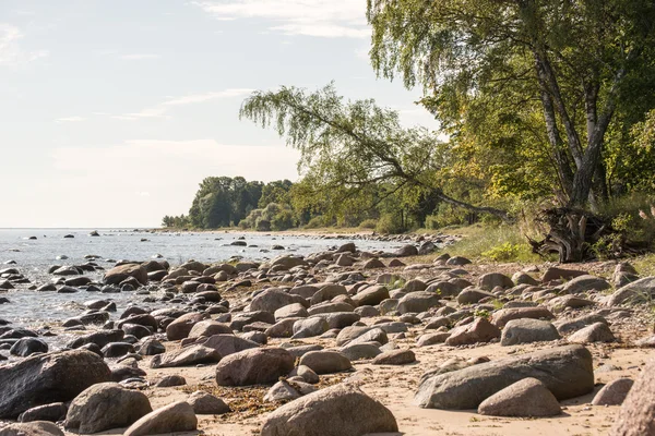 Скелястий пляж в Балтійському морі — стокове фото