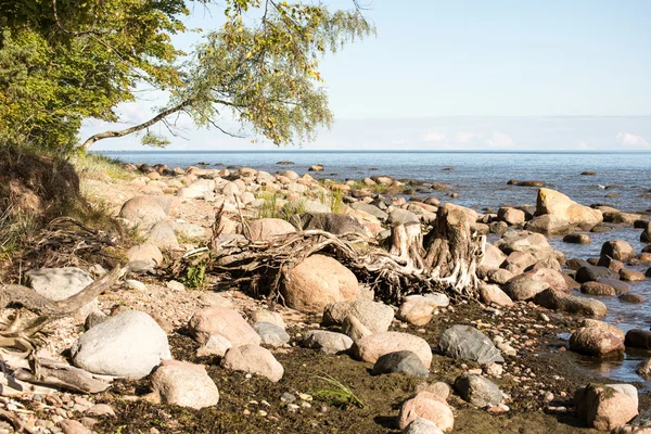 Скалистый пляж в Балтийском море — стоковое фото