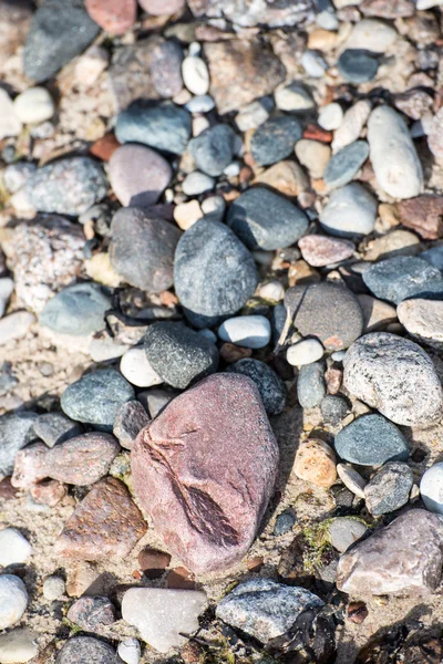 Small pebble rock background texture — Stock Photo, Image