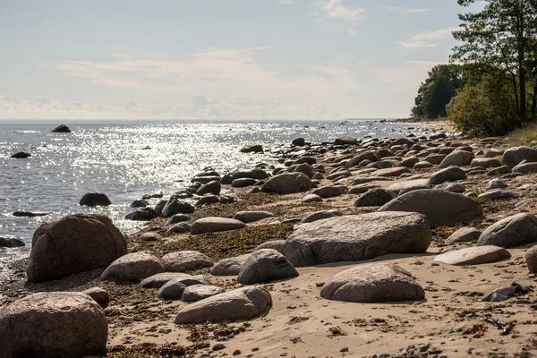 A Balti-tenger sziklás strand — Stock Fotó