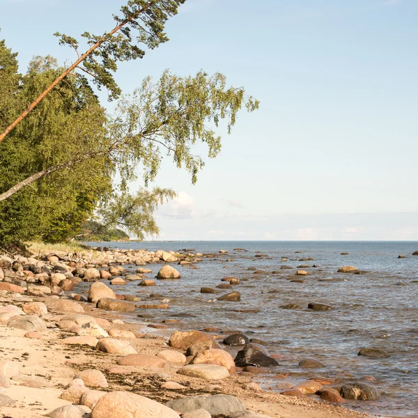 Playa rocosa en el mar báltico — Foto de Stock