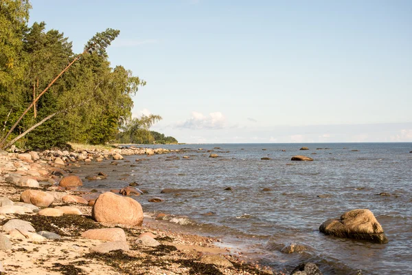 Skalnatá pláž v Baltském moři — Stock fotografie