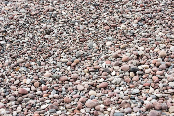 Small pebble rock background texture — Stock Photo, Image