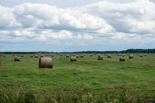 Rolki siana w zielone pole — Zdjęcie stockowe