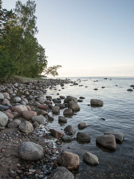 Stenig strand i Östersjön — Stockfoto