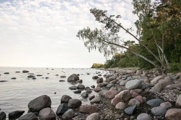 Скалистый пляж в Балтийском море — стоковое фото