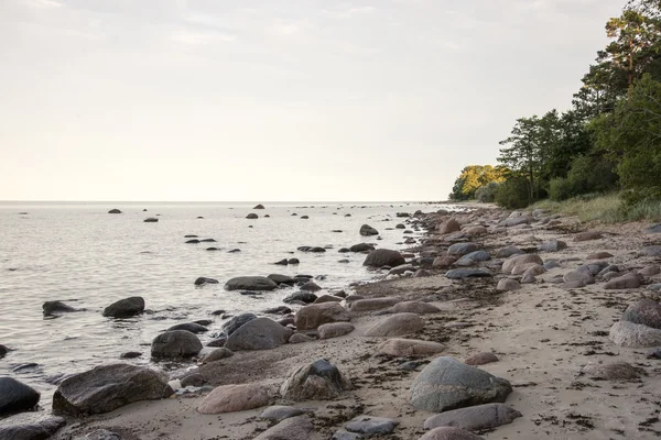 Скалистый пляж в Балтийском море — стоковое фото