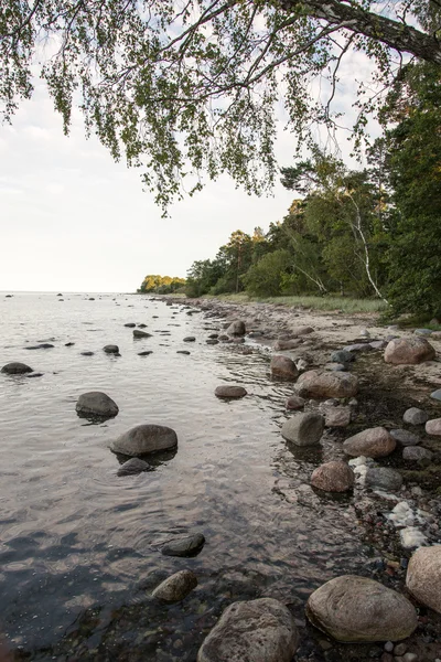 Rocky beach in the baltic sea — Stock Photo, Image