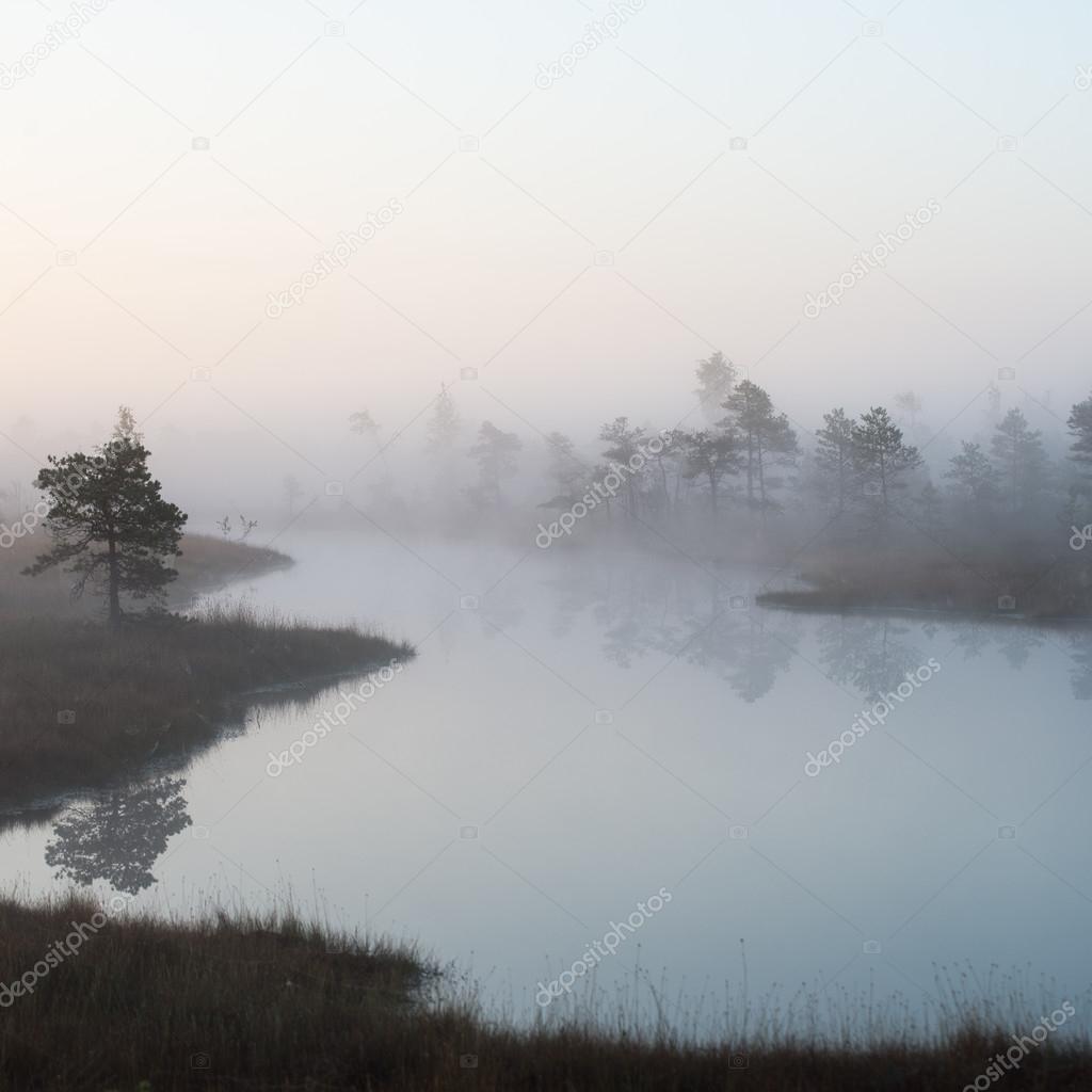 Beautiful tranquil landscape of misty swamp lake