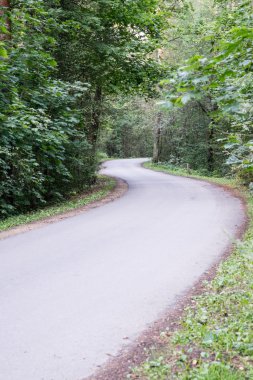 biraz yol ormanda yaktı