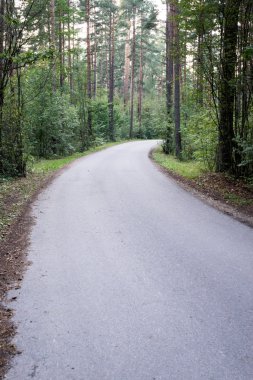 biraz yol ormanda yaktı