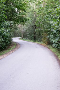 biraz yol ormanda yaktı