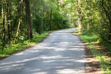 biraz yol ormanda yaktı