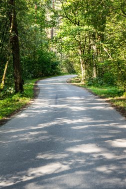biraz yol ormanda yaktı