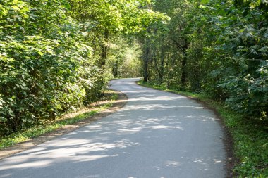 biraz yol ormanda yaktı