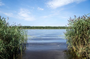 Nehre bents ile göster