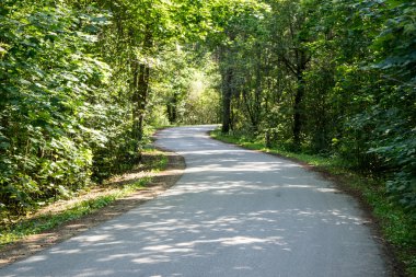 biraz yol ormanda yaktı