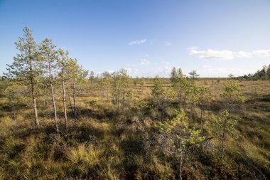 Sabah bulutlu gökyüzü altında yatay