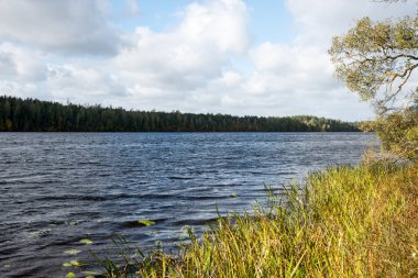 Ağaçlar yansımaları ile sonbahar Gölü