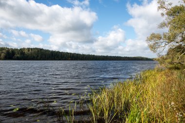 Ağaçlar yansımaları ile sonbahar Gölü