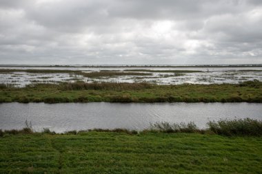 Yeşil alanlar havadan görünümü görünüm Tower