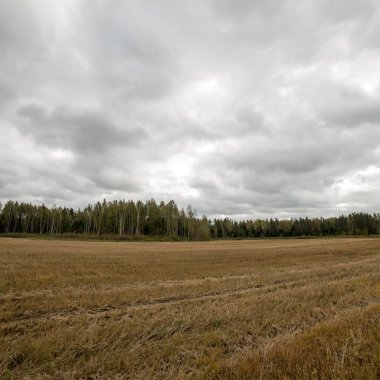 Sabah bulutlu gökyüzü altında yatay