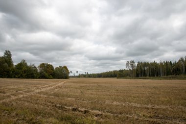 Sabah bulutlu gökyüzü altında yatay