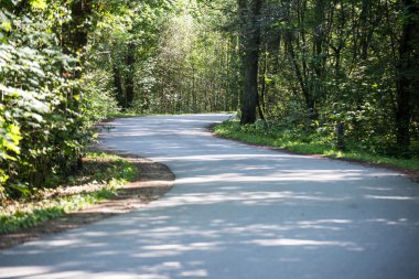 biraz yol ormanda yaktı