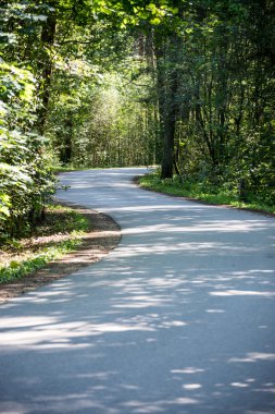 biraz yol ormanda yaktı