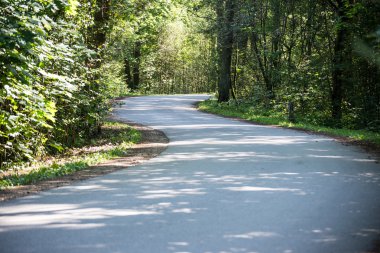 biraz yol ormanda yaktı