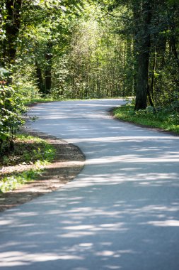 biraz yol ormanda yaktı