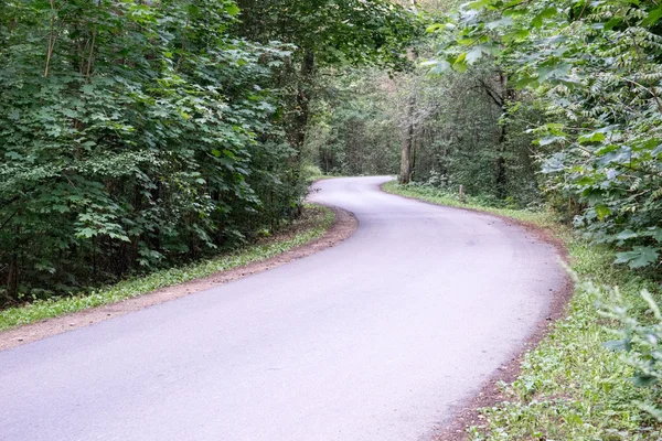 biraz yol ormanda yaktı