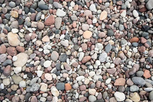Pequeno seixo rocha fundo textura — Fotografia de Stock