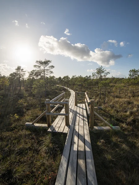 Passerelle en bois dans la tourbière — Photo